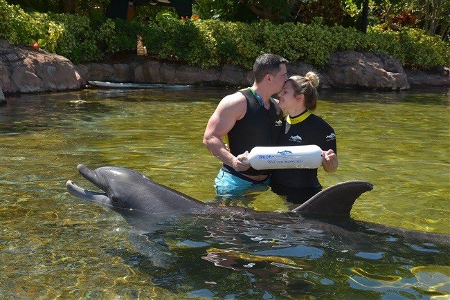 Taylor&Aaron-discovery cove- proposal (1) (1).JPG