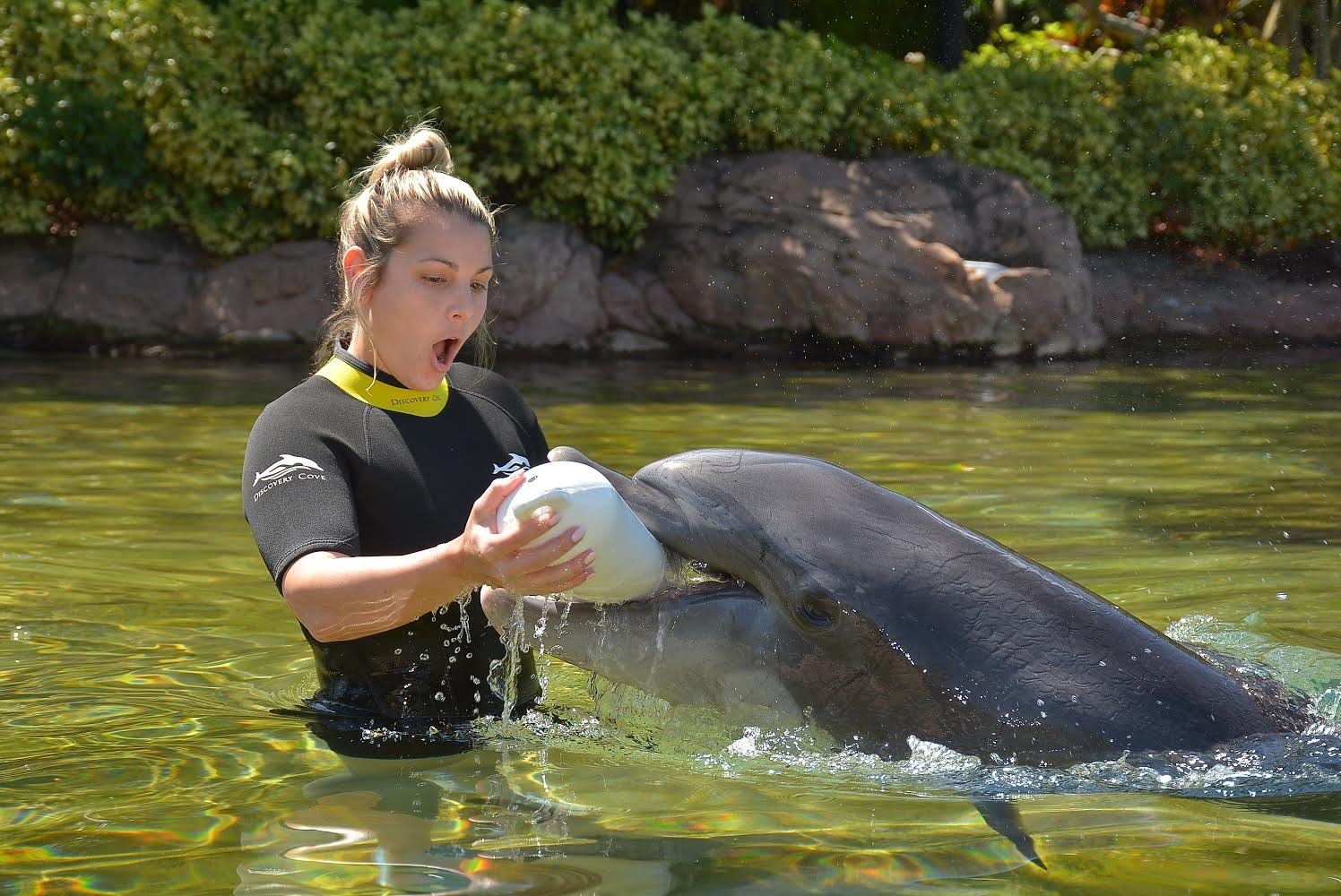 Taylor&Aaron-discovery cove- proposal (5) (1).jpg